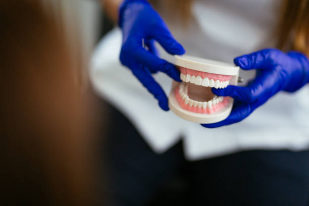 Sherwood, WI Holistic Dental Care Services Company